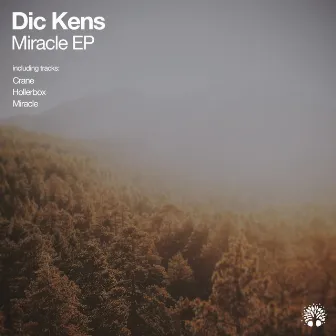 Miracle by Dic Kens