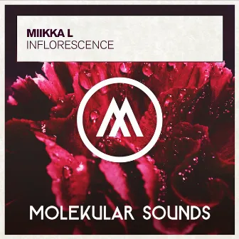 Inflorescence by Miikka L