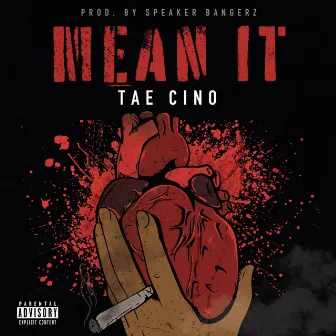 Mean It by Tae Cino