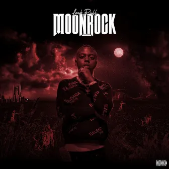 Moon Rock by Lando Richh