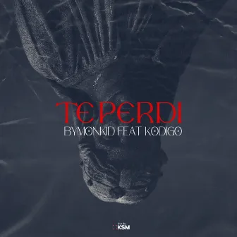 Te Perdí by ByMonkid