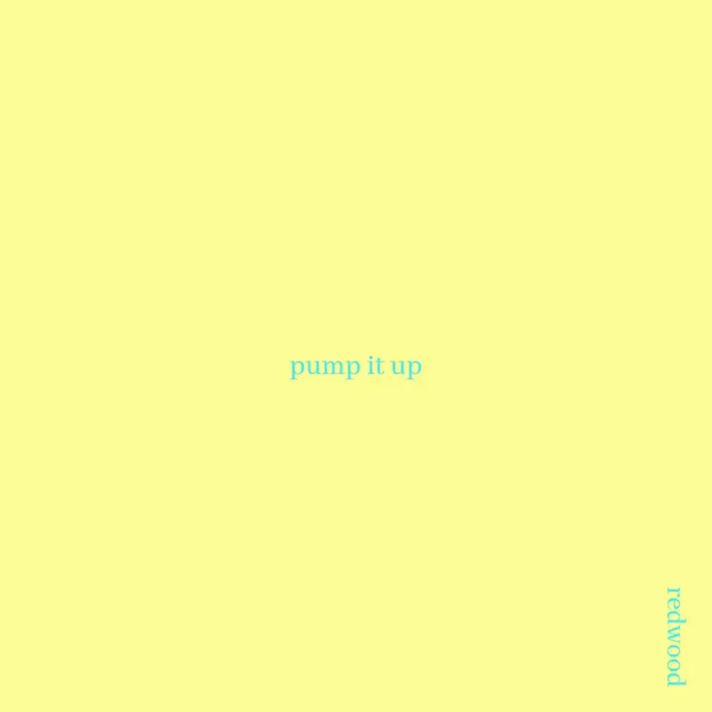 Pump It Up