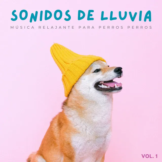 Sonidos De Lluvia: Música Relajante Para Perros Vol. 1