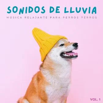 Sonidos De Lluvia: Música Relajante Para Perros Vol. 1 by Música para calmar perros