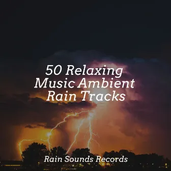 50 Relaxing Music Ambient Rain Tracks by Unknown Artist