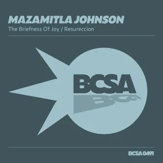 The Briefness of Joy by Mazamitla Johnson