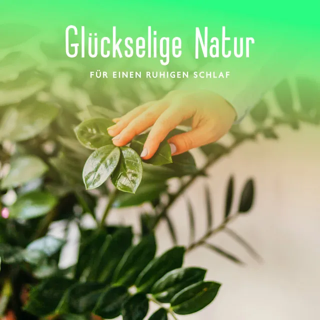 Glückselige Natur für Einen Ruhigen Schlaf