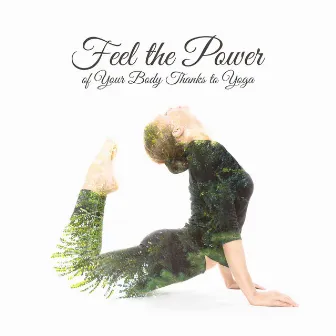 Feel the Power of Your Body Thanks to Yoga by Special Yoga Creator