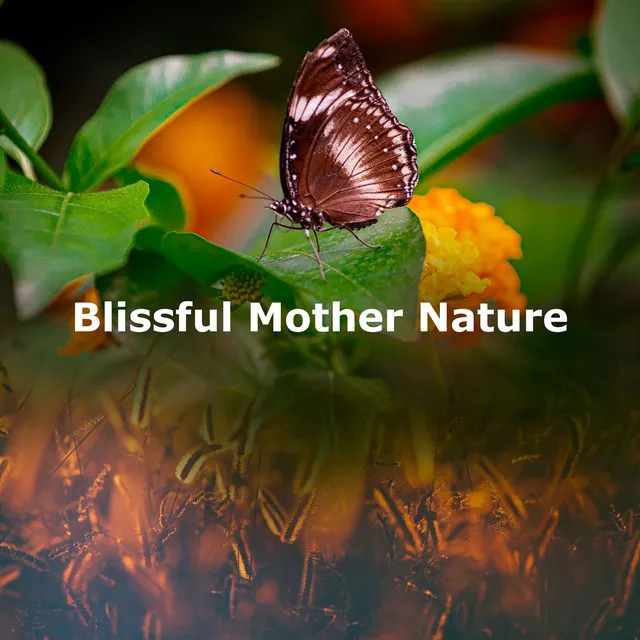 Blissful Mother Nature