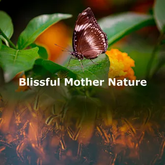 Blissful Mother Nature by Nature Scenario Sounds