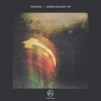 Unnecessary EP by Temudo