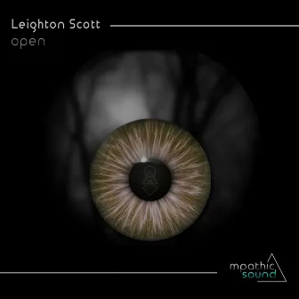 Open by Leighton Scott