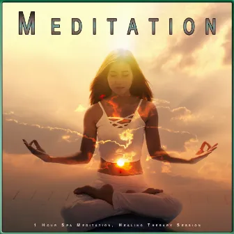 Meditation: 1 Hour Spa Meditation, Healing Therapy Session by Unknown Artist