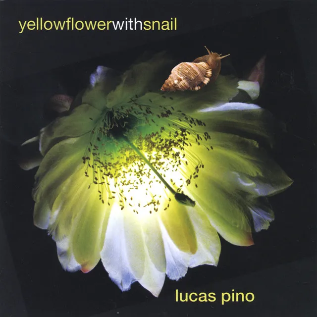 Yellow Flower With Snail