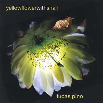 Yellow Flower With Snail by Lucas Pino