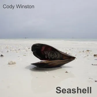 Seashell by Cody Winston