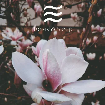 Ambient rainfall noises for sleep by 