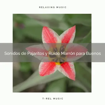 Sonidos de Pajaritos y Ruido Marrón para Buenos by Ruído De Colores Para Bebes