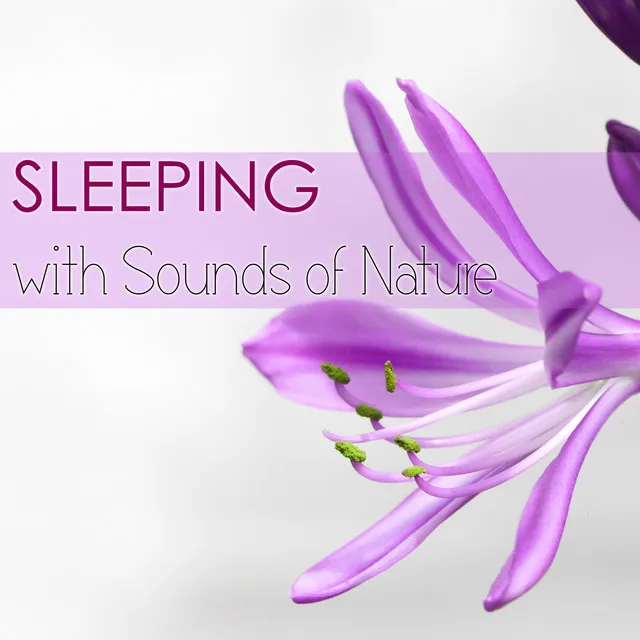 Sleeping with Sounds of Nature - Utimate Relaxation Music Collection, Calming Sound