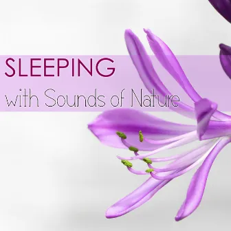 Sleeping with Sounds of Nature - Utimate Relaxation Music Collection, Calming Sound by Singing Sirens