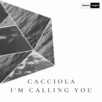 I'm Calling You by Cacciola