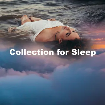 Collection for Sleep by Sleep Factory