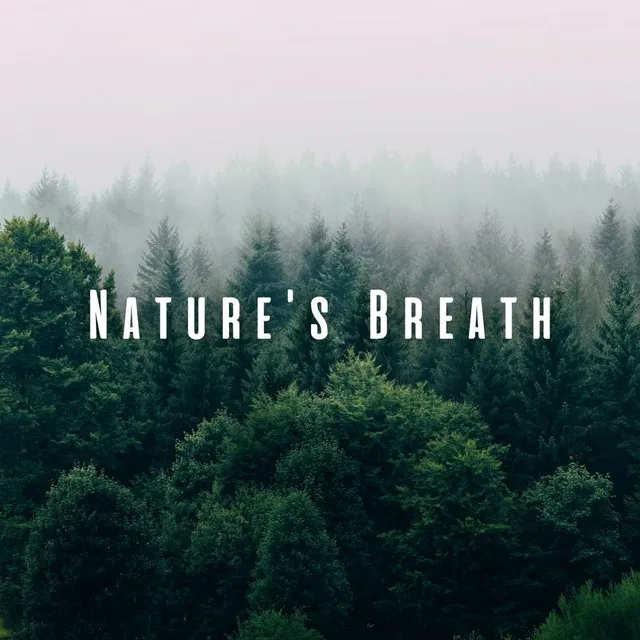 Nature's Breath: Gentle Ambient Sounds for Meditation Practice