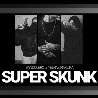 SuperSkunk by BandoleRo