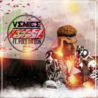 Nessin (feat. Polo Da Don) - Single by Venice