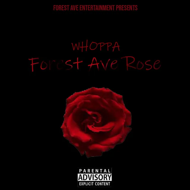 Forest Ave Rose