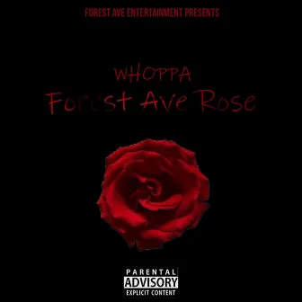 Forest Ave Rose by WHOPPA