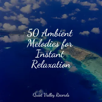 50 Ambient Melodies for Instant Relaxation by Relaxing Mindfulness Meditation Relaxation Maestro