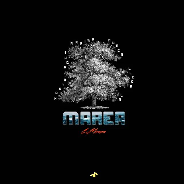 Marea