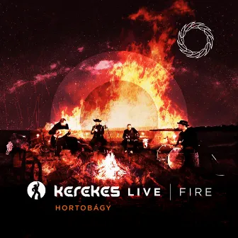 FIRE (Live at Hortobágy) by Kerekes Band