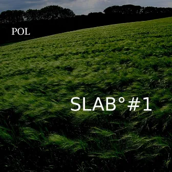 SLAB°#1 by POL