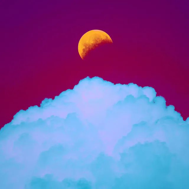 Desert Moon