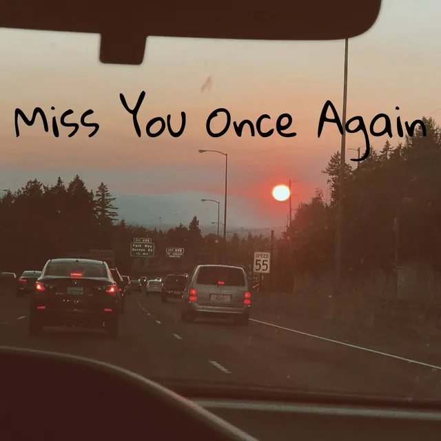 Miss You Once Again