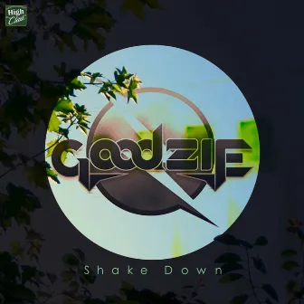 Shake Down by Goodzie