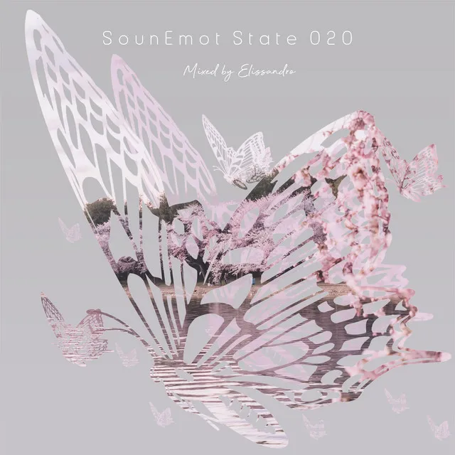 Sounemot State 020 (Mixed by Elissandro)