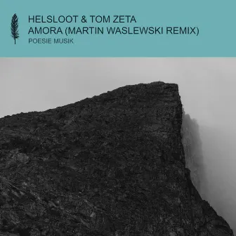 Amora (Martin Waslewski Remix) by Tom Zeta