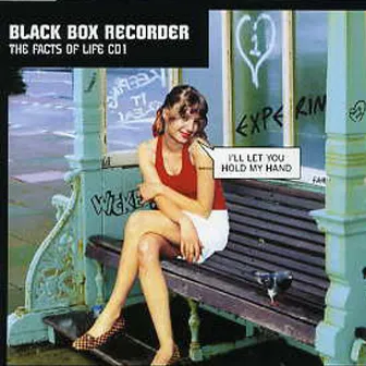 The Facts Of Life by Black Box Recorder