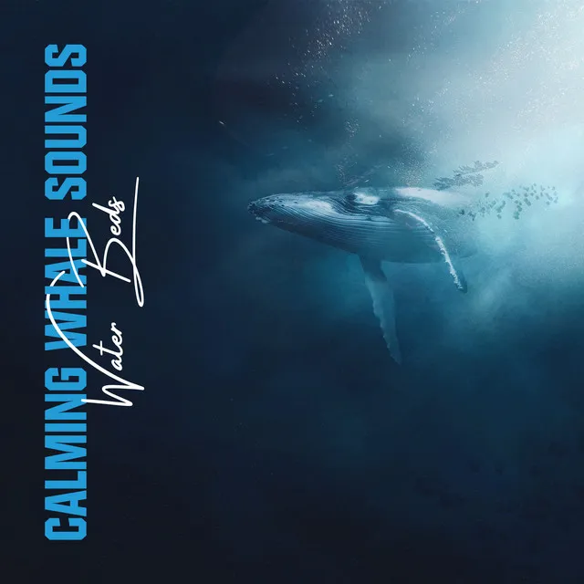 Calming Whale Sounds