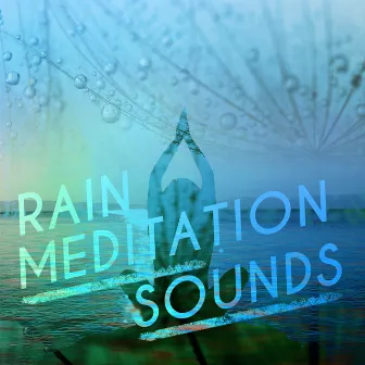 Rain Meditation Sounds by Relaxing Sounds of Rain Music Club