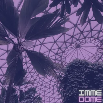 Imme Dome by Ben Nimaj