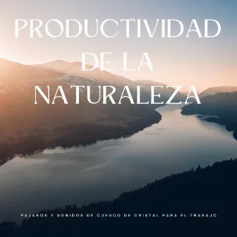 Productividad De La Naturaleza: Pájaros Y Sonidos De Cuenco De Cristal Para El Trabajo by Pájaros Escandinavos