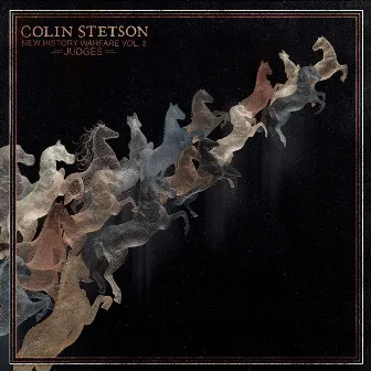 New History Warfare Vol. 2: Judges by Colin Stetson