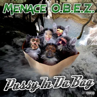 Pussy in da Bag by Menace O.B.E.Z.