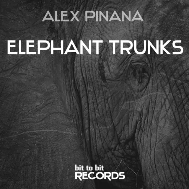 Elephant Trunks - Original Mix