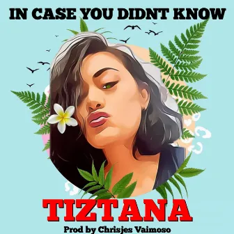 In Case You Didn’t Know by Tiztana