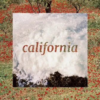 california by Reed Schick